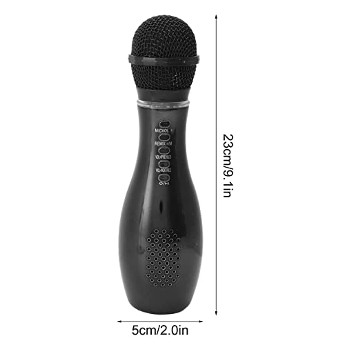KTV Microphone Wireless Microphone
