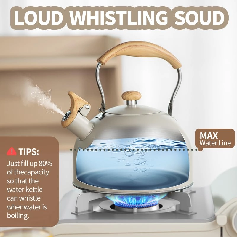 Stove Top Kettle - 2.5L