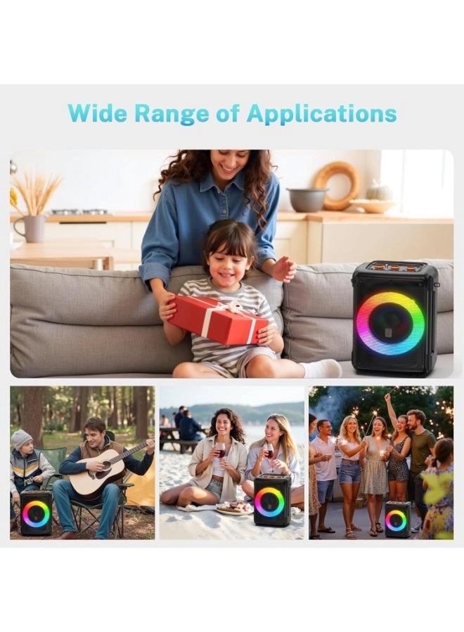 AE-D13 - 2 Microphones