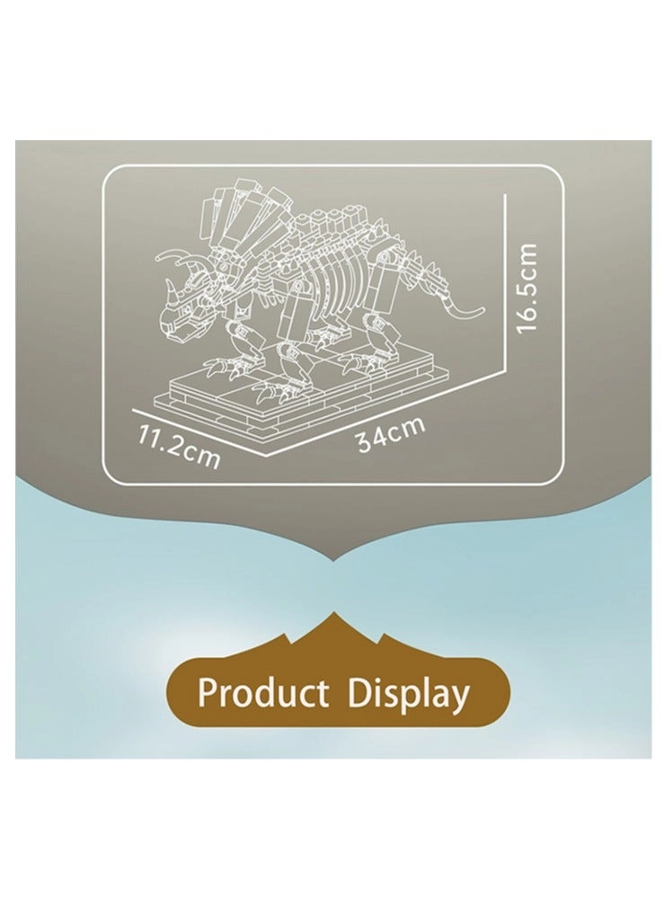 Dinosaur Triceratops Fossil Model - 8 years+