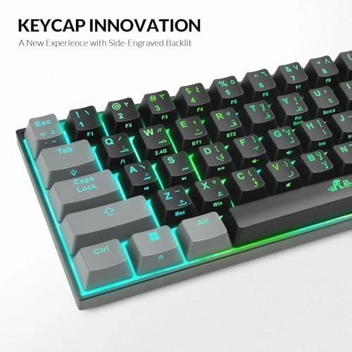 RK802 - AR/UK Wired/Wireless