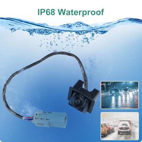 23205689 - Night Vision