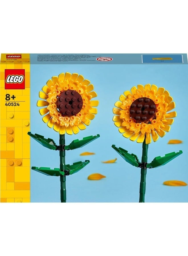 Sunflowers (40524)