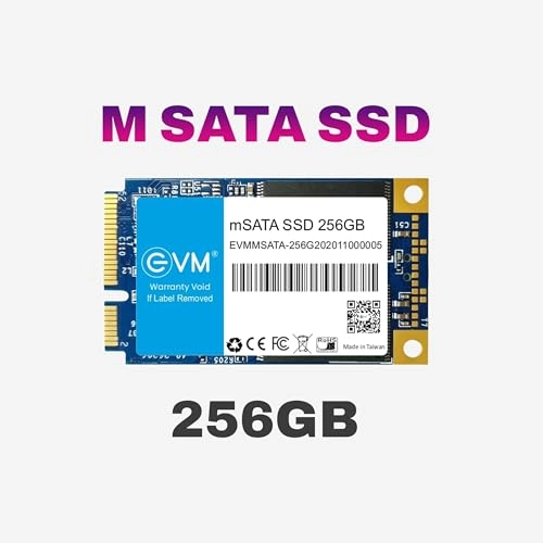 EVMMS - 256GB mSATA