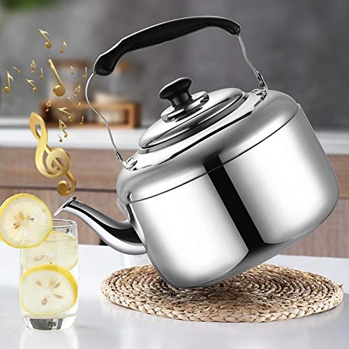 Whistling Tea Kettle
