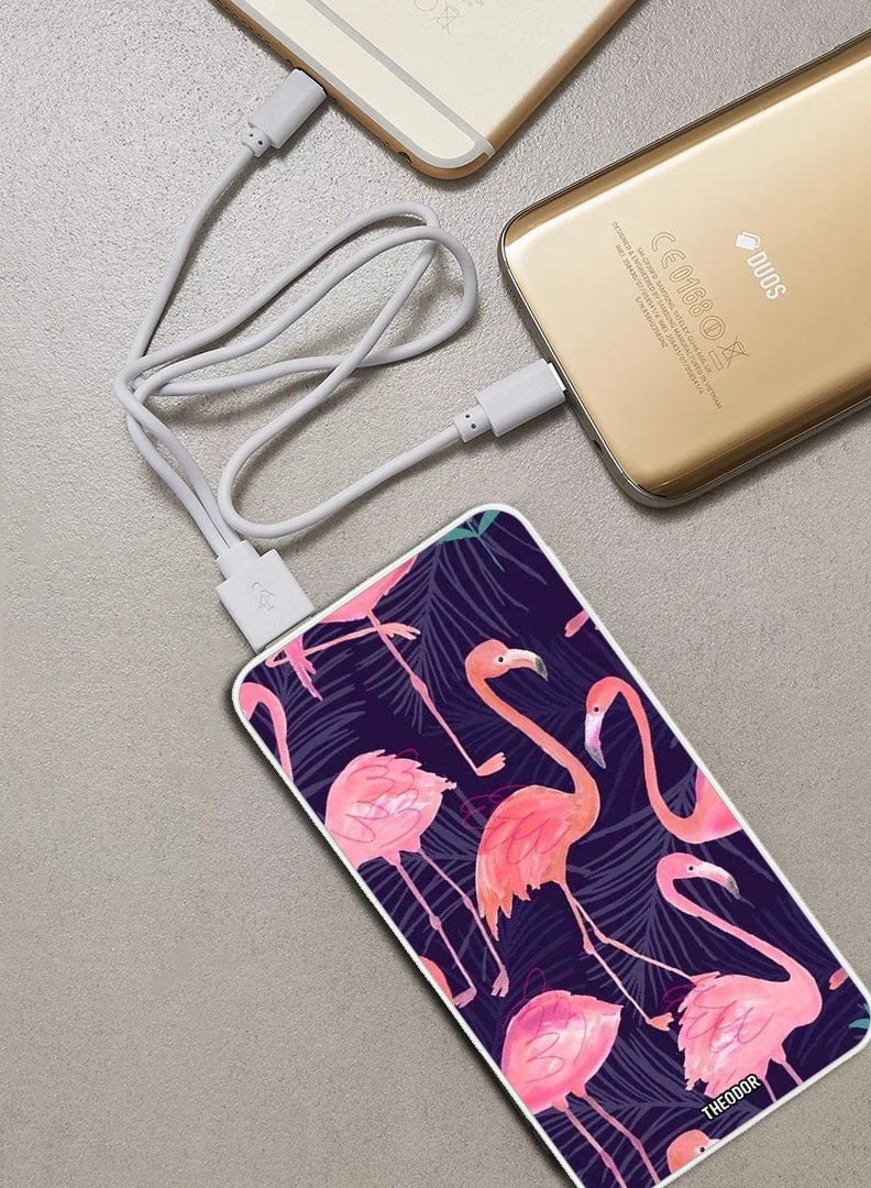 EX_PPBA167 - 10000 Watt-hour 18W