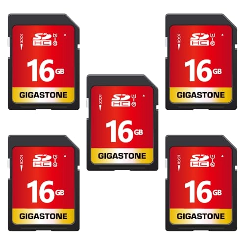 Gigastone SD Card - 16GB + Mini Case