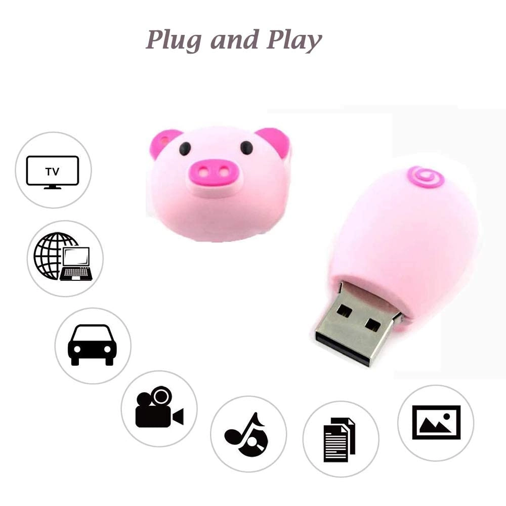 Piggy - USB 2.0 64GB
