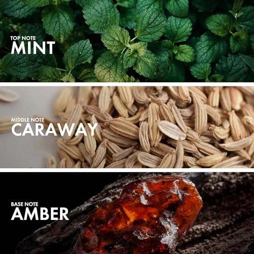 Mint Caraway Eau de Parfum 50ml