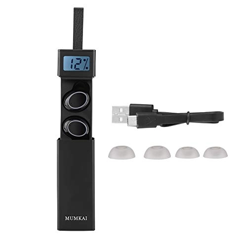 Professional Headset - Wireless Headset