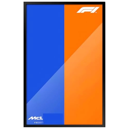 Display Wallboard Wall Mount for LEGO 42171 - 50X80cm