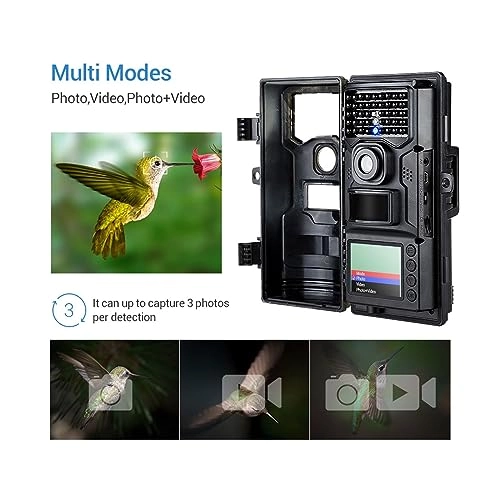 Wildlife Camera - 20MP