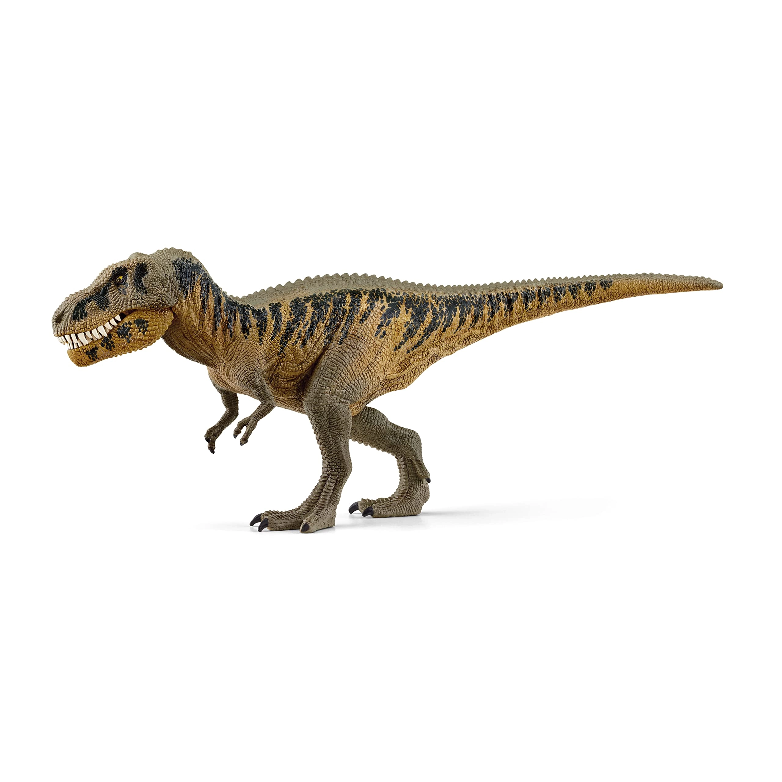 Tarbosaurus - 4+ Dinosaurs 1