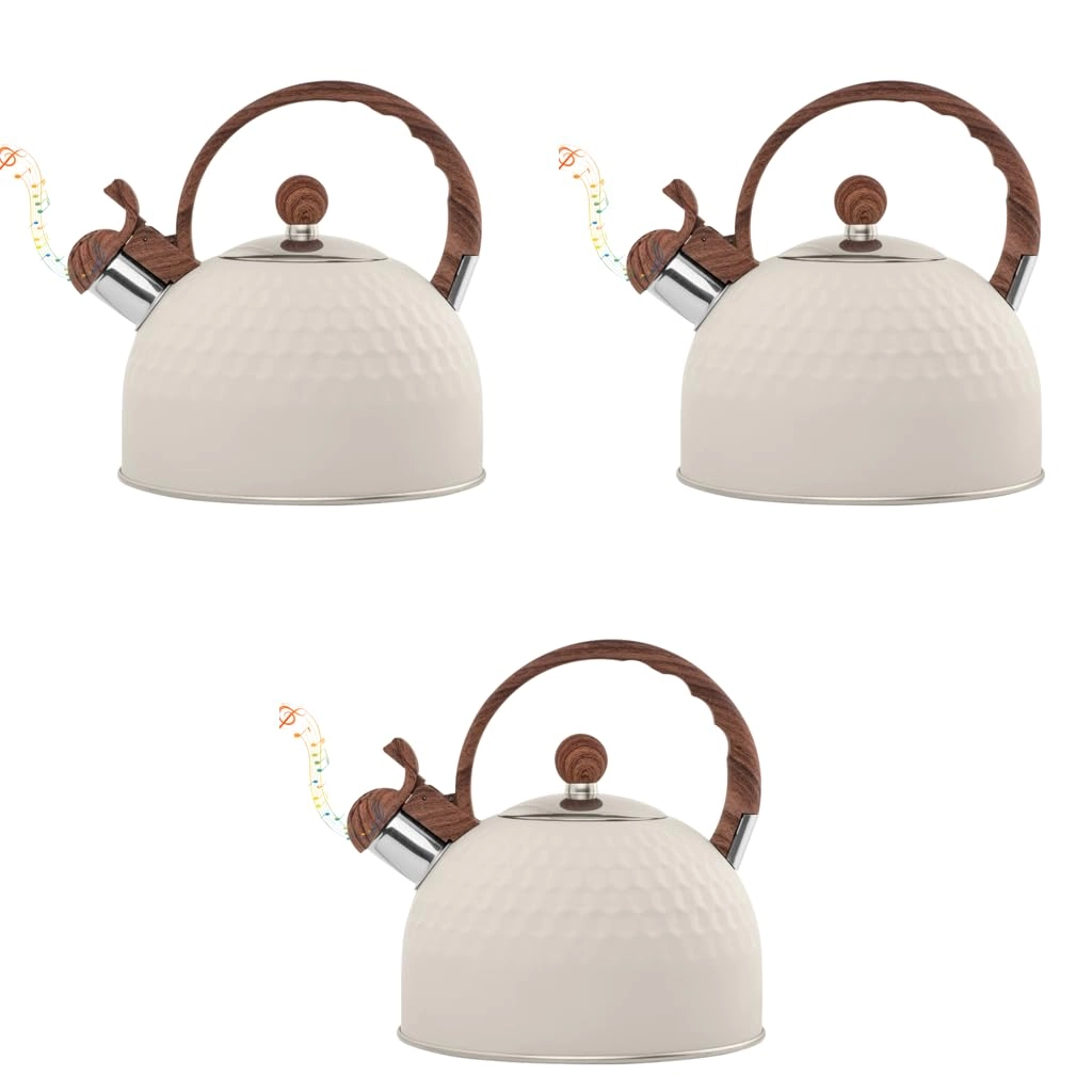 Lanzhou Stellar Ring Manufacturing Co., Ltd., Supvox Tea Kettle - 2.5L