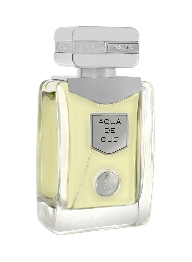 Aqua De Oud Eau de Parfum 100 ml