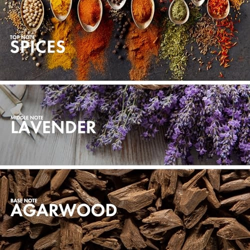 Chestnut Leather Eau de Parfum - 50 ml