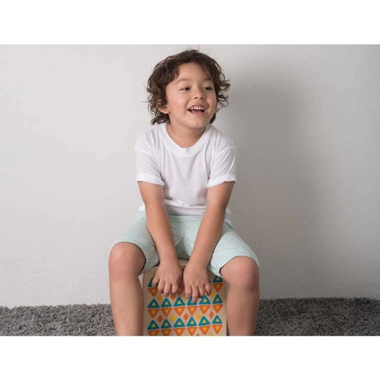 Plantoys Rhythm Box II Musical Toy - 3 years+