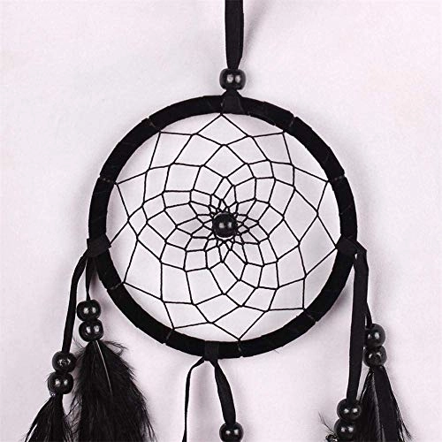 Dreamcatcher - Siderosphere, feathers, lines, wood beads.
