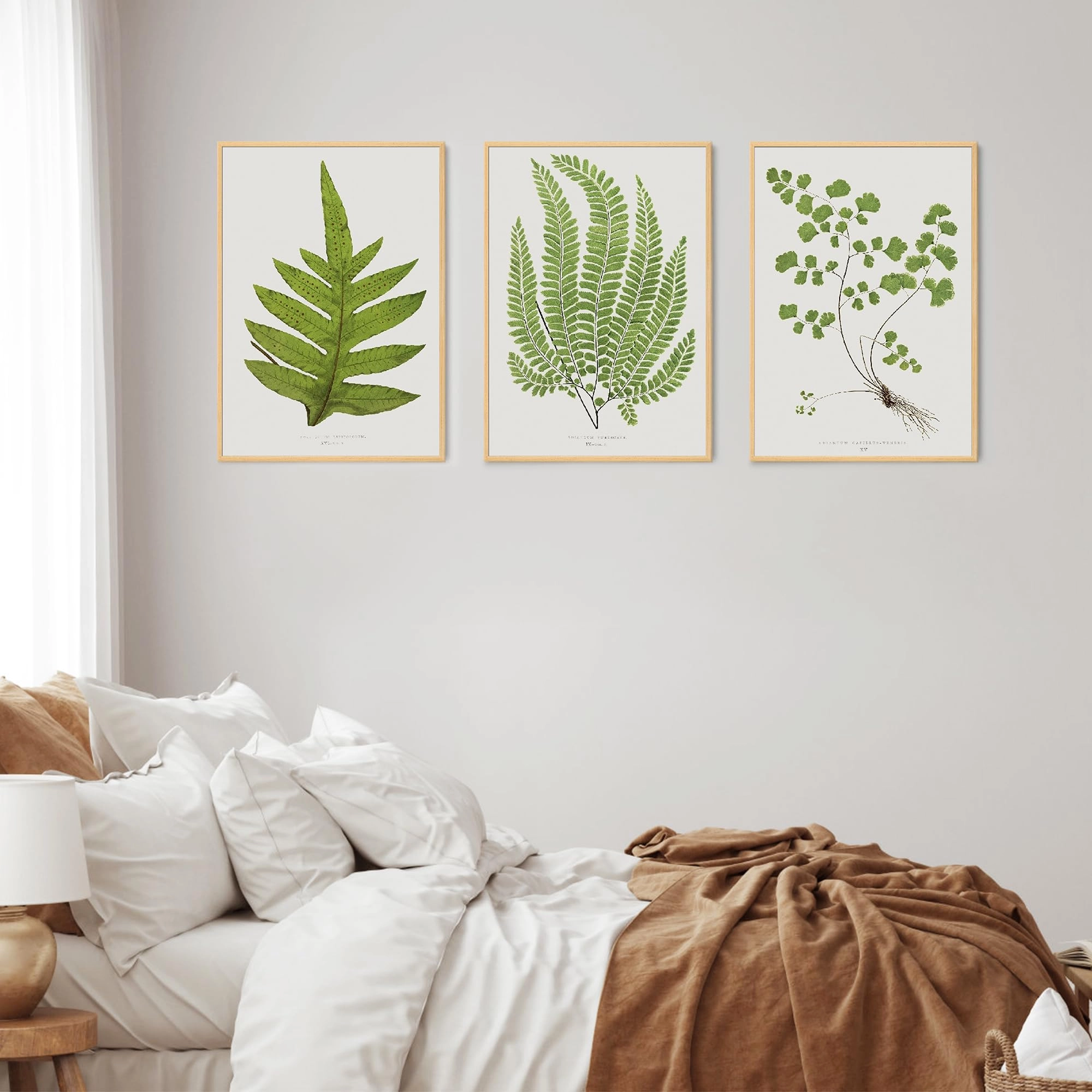 Picture Frame - 50x70 3 Pack