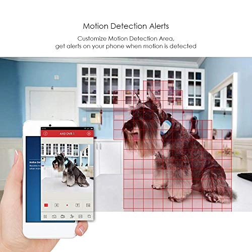 1080p DVR Recorder - 2000 GB 8 Channel