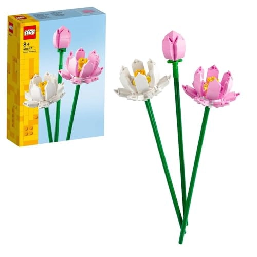 Lotus Flowers (40647) - Iconic