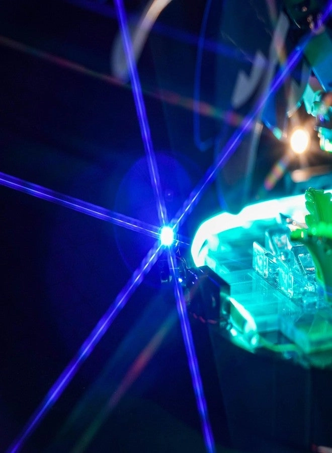 LED Light Kit - Compatible with Kingfisher Bird 10331 Lights Only