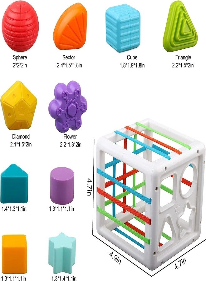 Montessori Sensory Shape Sorter - 1+