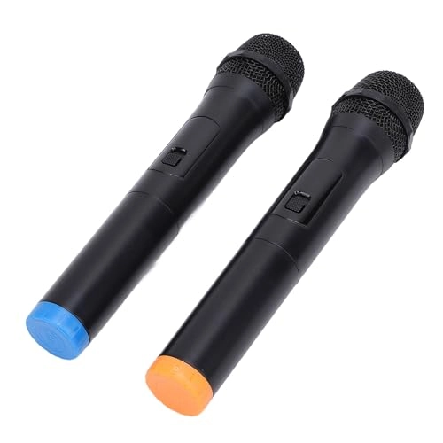 8fl42bxhce - 2 microphones 2.4G