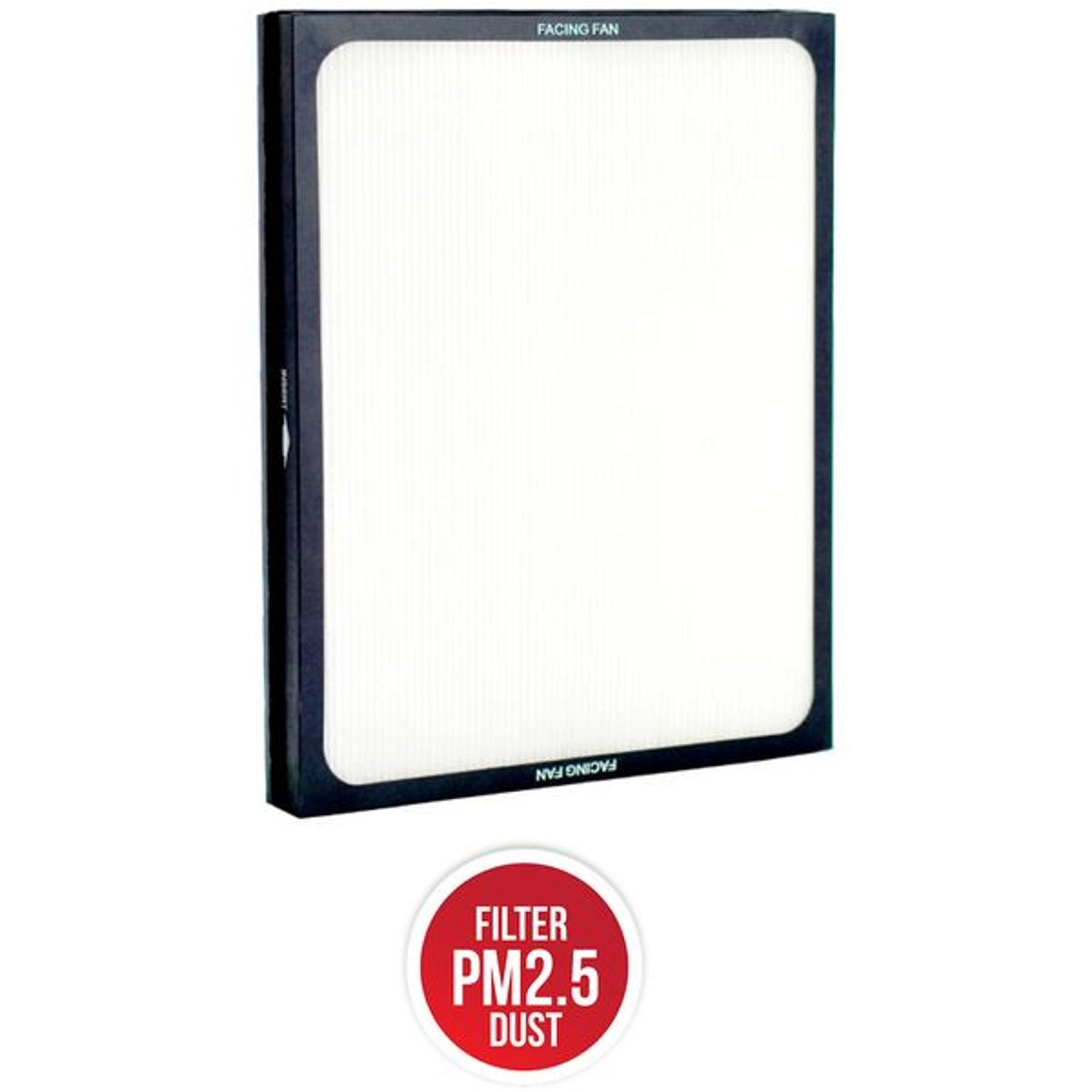 200300PA - Particle Filter White