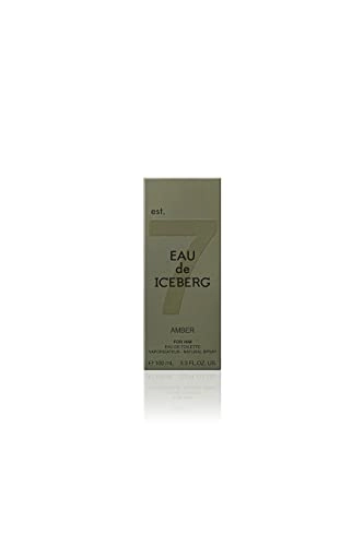 Amber Man Eau de Toilette 100 ml