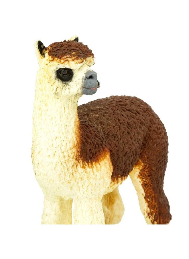 Alpaca