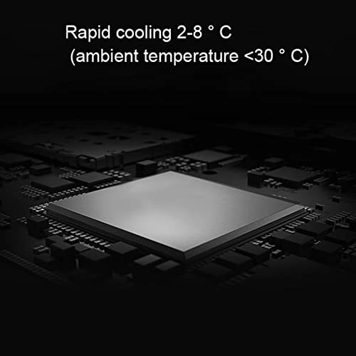 Insulin Refrigerated Box - Portable 8000mAH