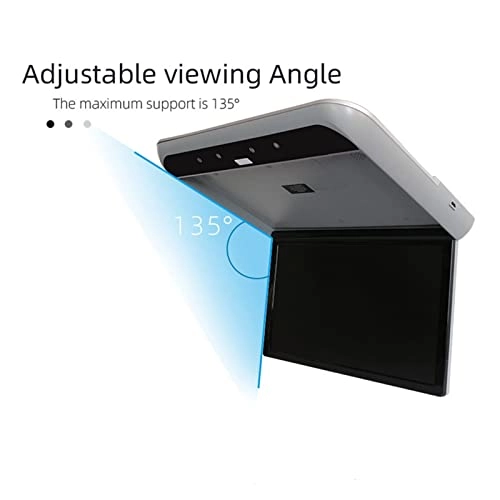 Car Ceiling Display - 19 Inch