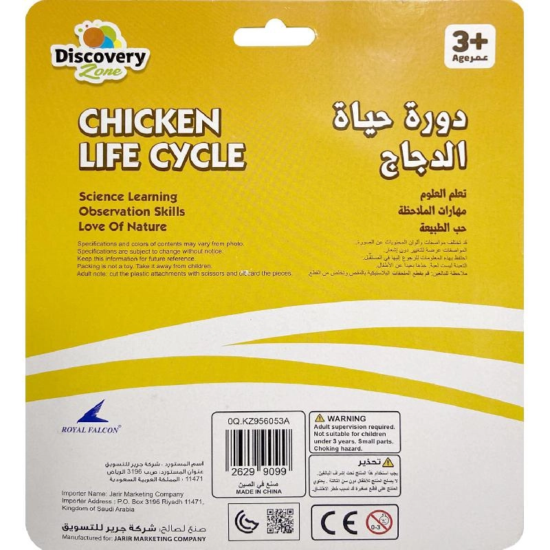 Life Cycle of Rooster Animals - 4 years+ 4 pieces