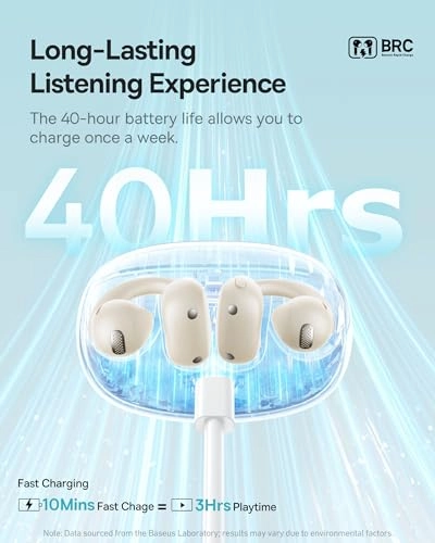 Bowie MC1 OL Wireless Earbud