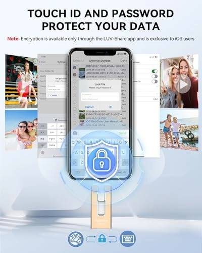 USB Stick - USB 3.0 256GB