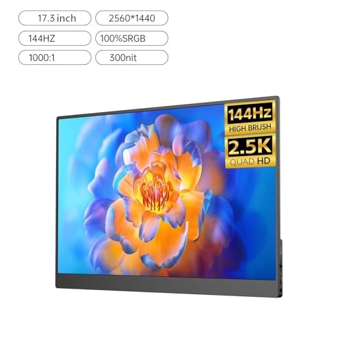 Portable Monitor - 1WLBPJ9KHMTZ 17.3-inch 2560 x 1440
