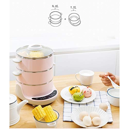 Electric Steamer - 6L