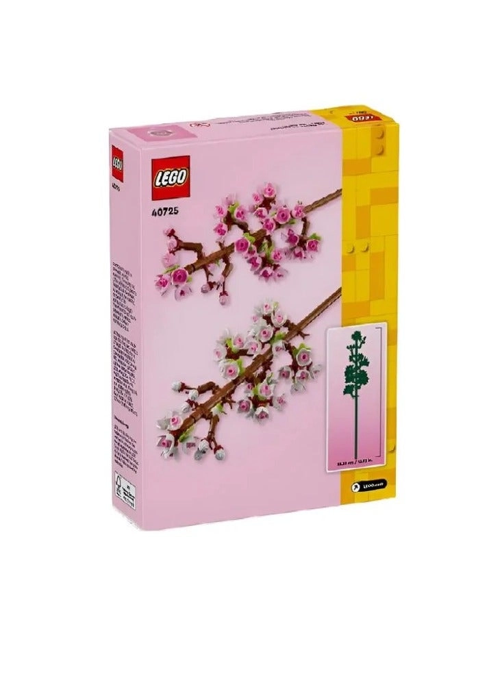 Cherry Blossoms Celebration Gift (40725) - Flowers