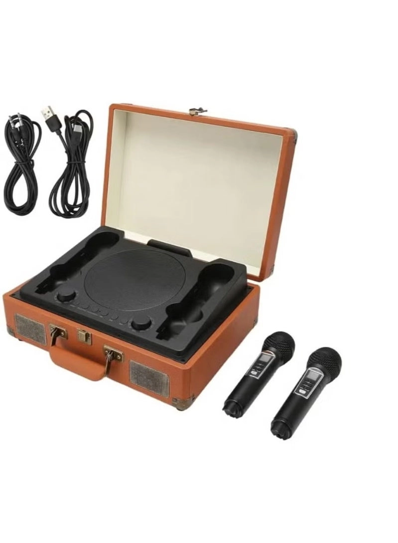 SW01 - Dual wireless microphones