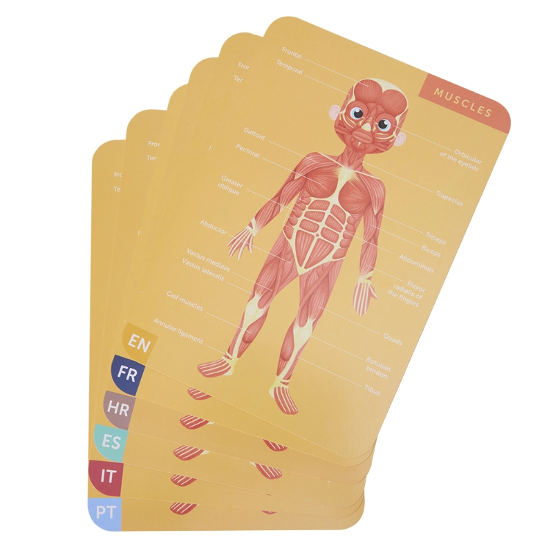 Human Body Magnetic Puzzle - 7+ 100 pieces