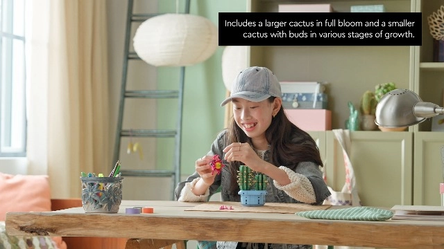 Flowering Cactus (11509)