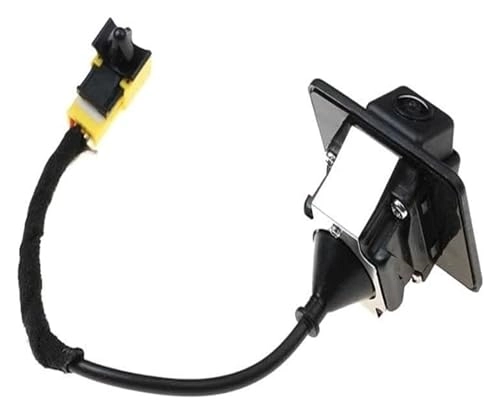 Rear View Camera - Night Vision
