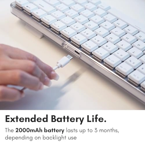 BTBLMBSMINIA - Wireless