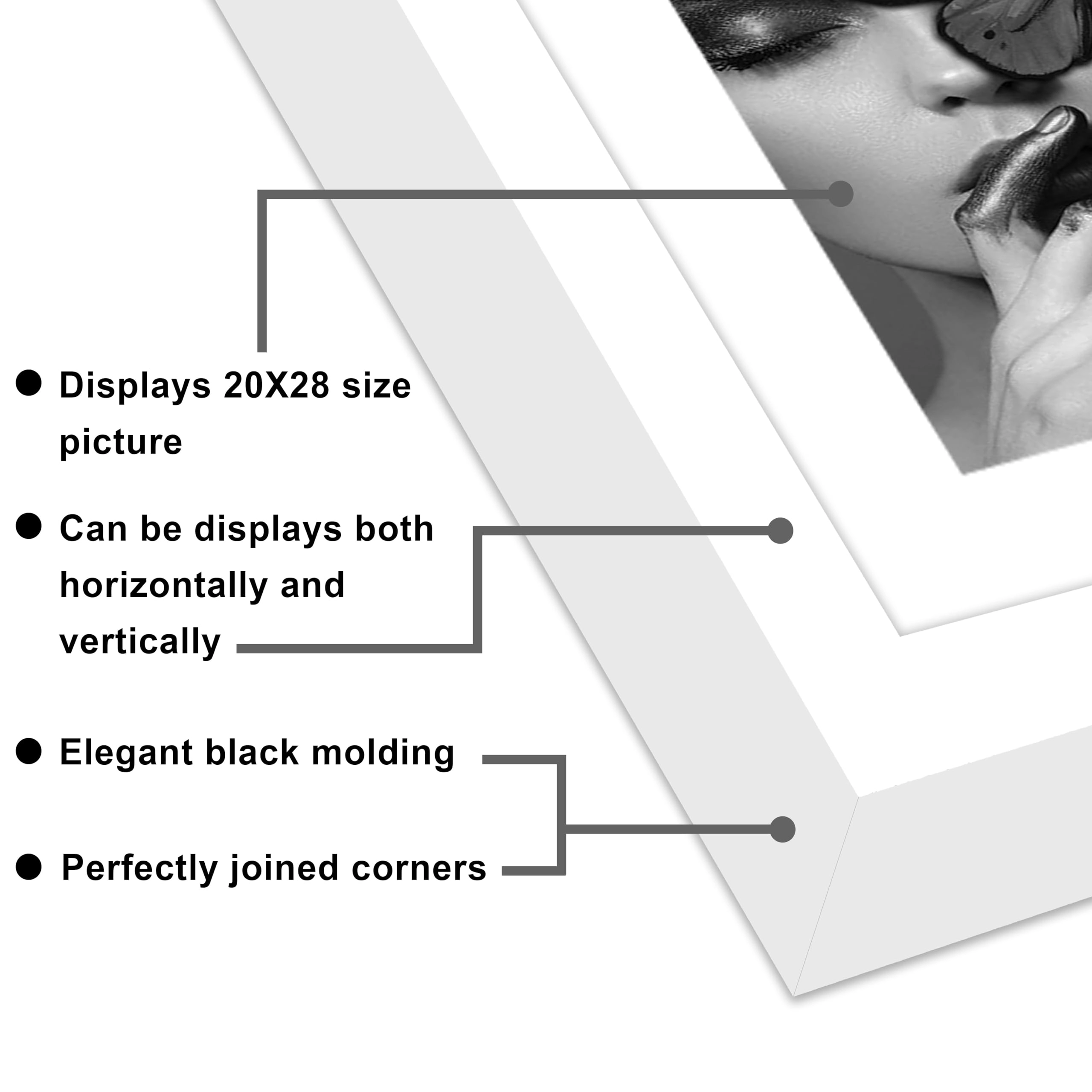 Document Frame - 20x28 Inch