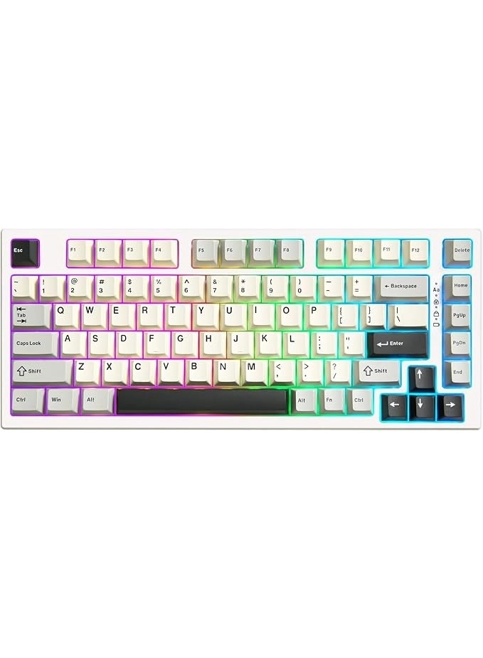 RT80 - Bluetooth/2.4GHz/Wired