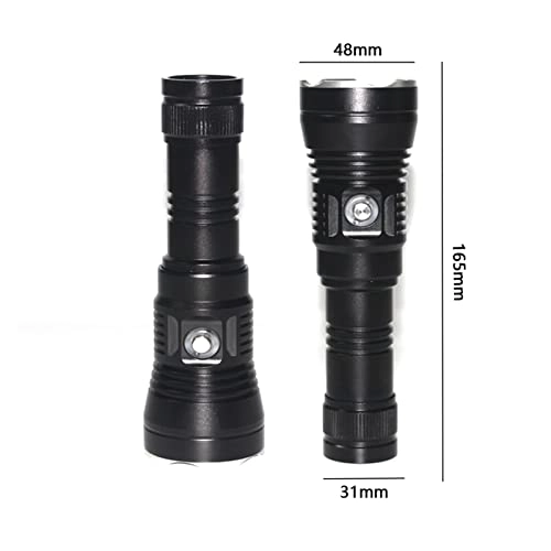 Professional Submersible Light