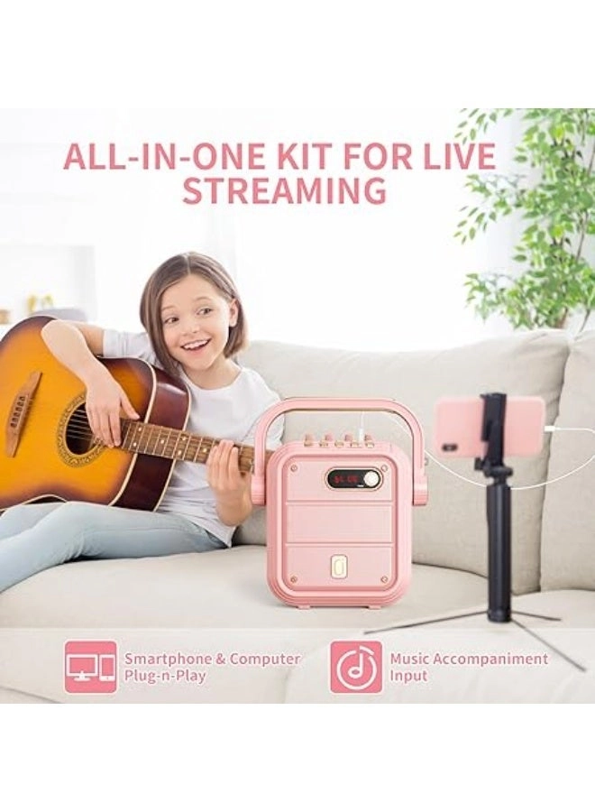 Karaoke machine - 2 wireless microphone