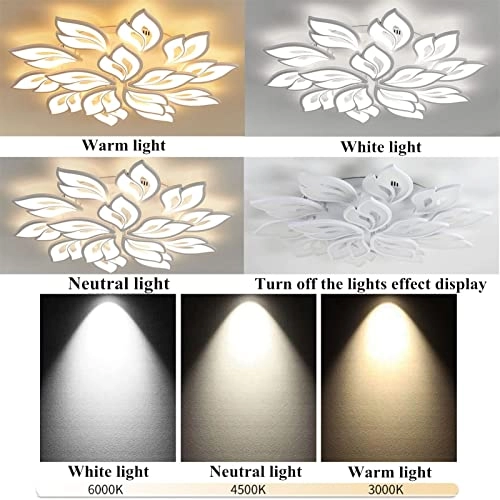 LED Chandelier Ceiling Light - Dimmable Remote Control