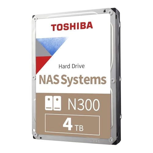N300 - 4TB